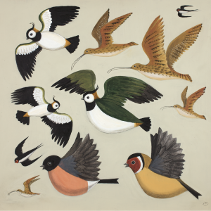 All the Birds of the Air All the Birds of the Air
