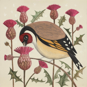 Gorging Goldfinch Gorging Goldfinch