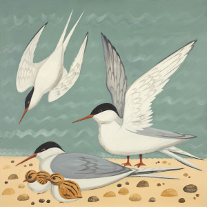 Taking Terns Taking Terns