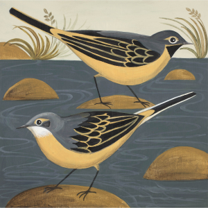 Wandering Wagtails Wandering Wagtails