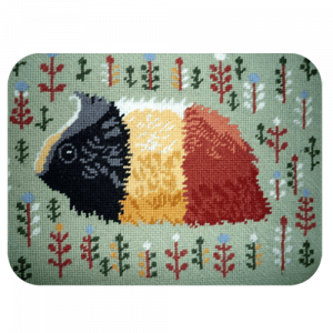 Guineapig - £55 Guineapig - £55